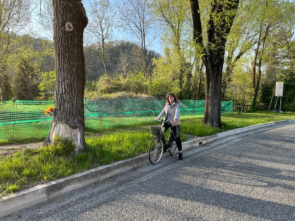 Copertina per «Alberi abbattuti per la ciclabile», Zanella critica sul progetto del Gect
