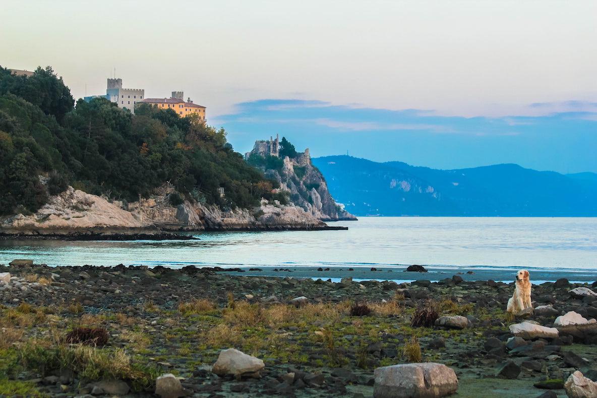 Immagine per Turismo e cura del mare, i volontari festeggiano la costa di Duino Aurisina