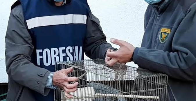 Immagine per Rifiuti in Fvg, stretta dei controlli del Noava al confine con la Slovenia