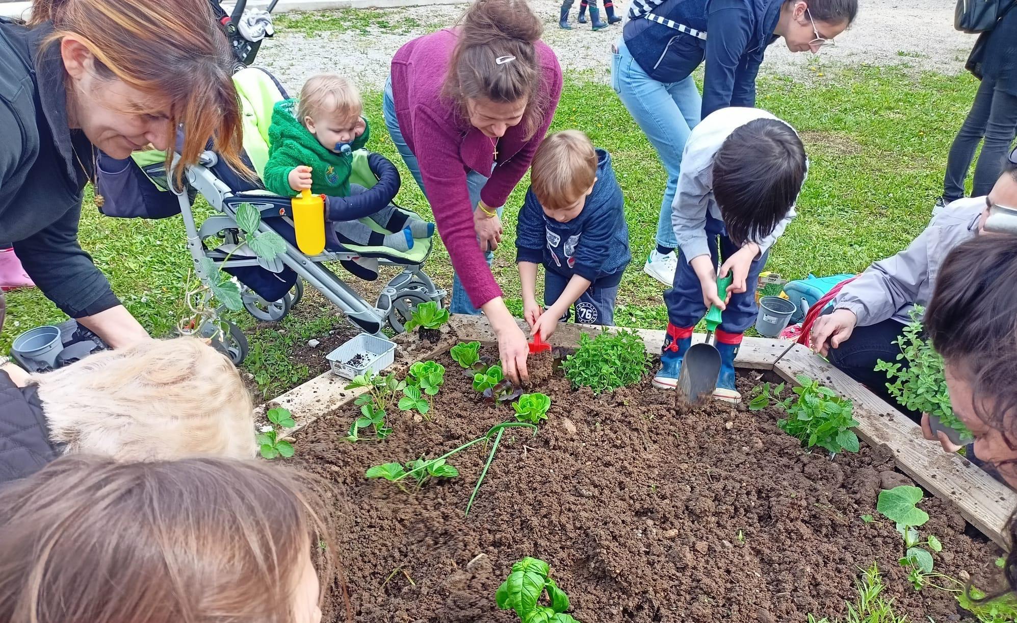 Copertina per Bambini giardinieri a scuola, nasce l'orto didattico all'asilo di Mariano