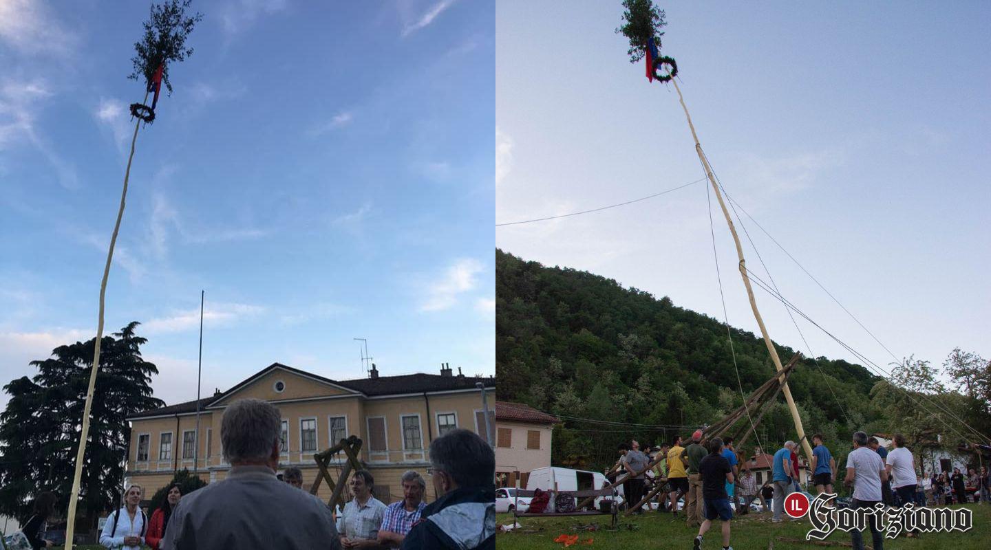 Copertina per Il mlaj a Piedimonte senza albero gigante, feste più piccole a Gorizia