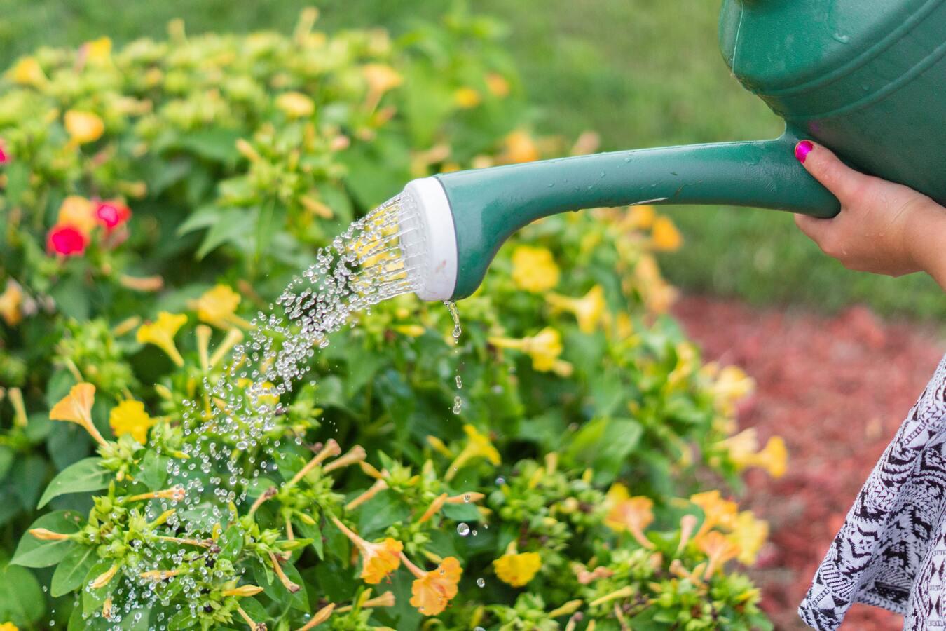 Immagine per Come prenderci cura del proprio giardino, due esperti lo spiegano a Gorizia