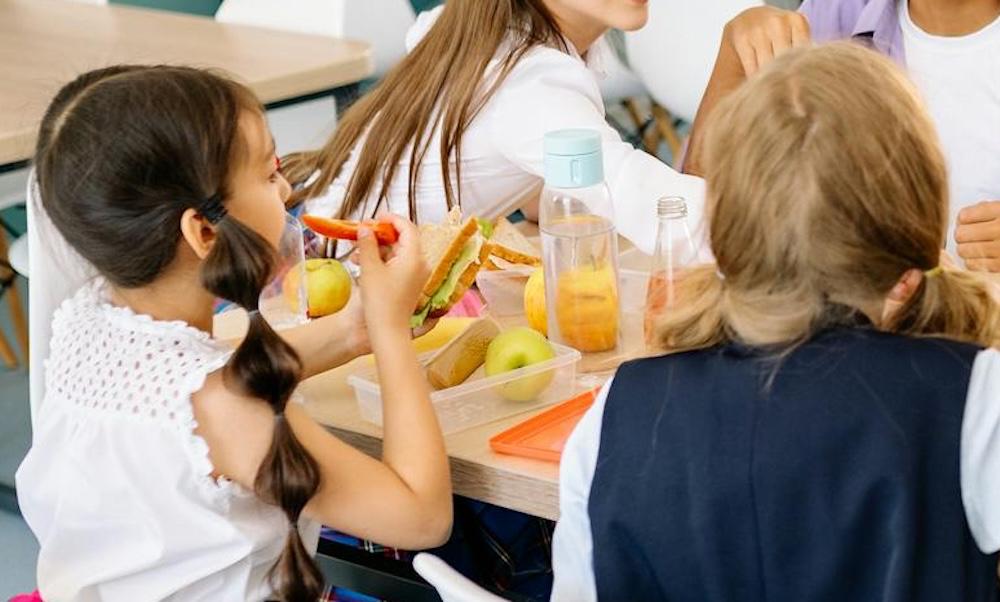 Immagine per Menù su misura nella mensa scolastica, arriva la figura del dietista a Medea