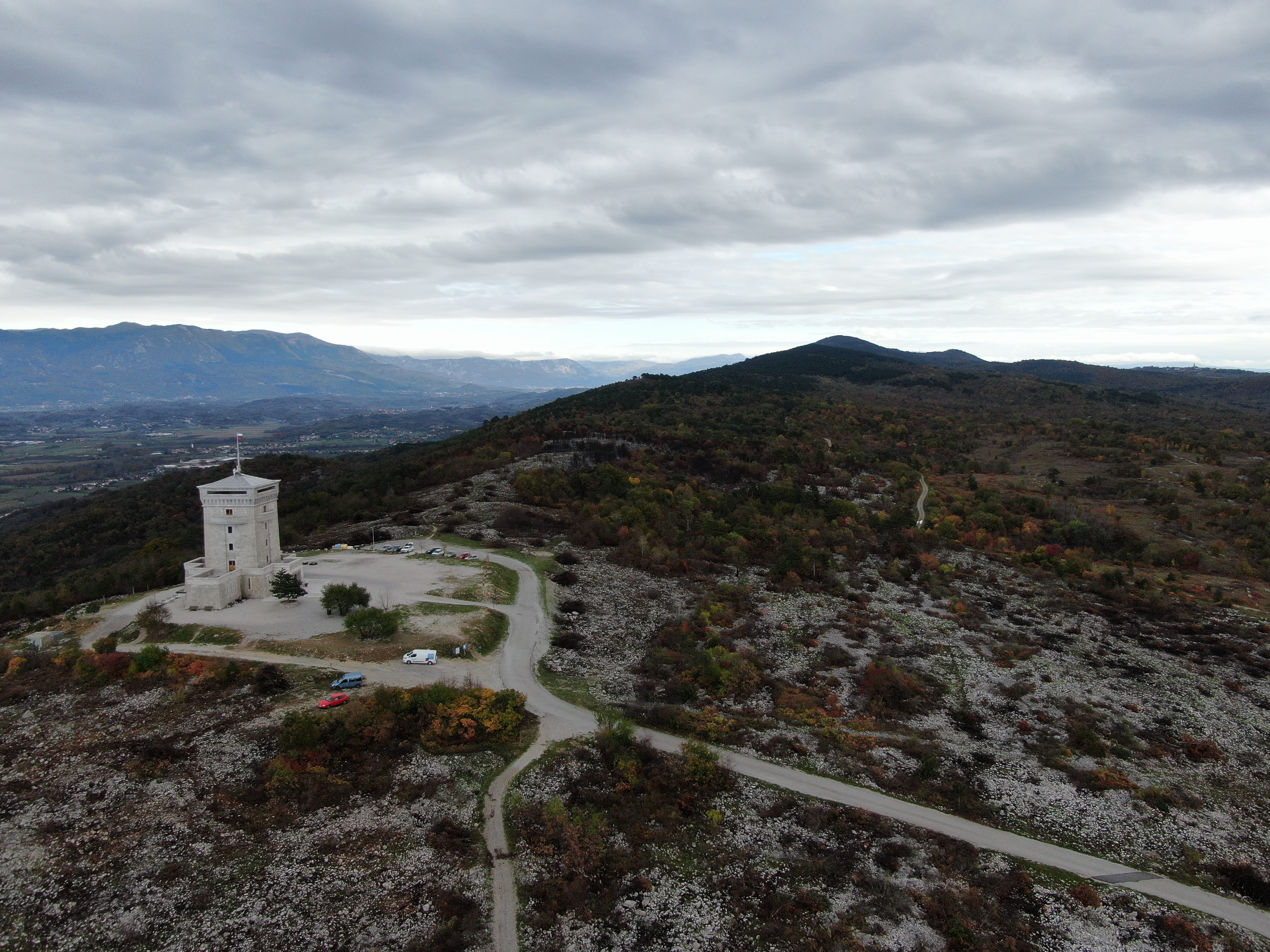 Copertina per Dopo il devastante incendio, rinasce il bosco di Cerje e lancia un progetto solidale per Natale