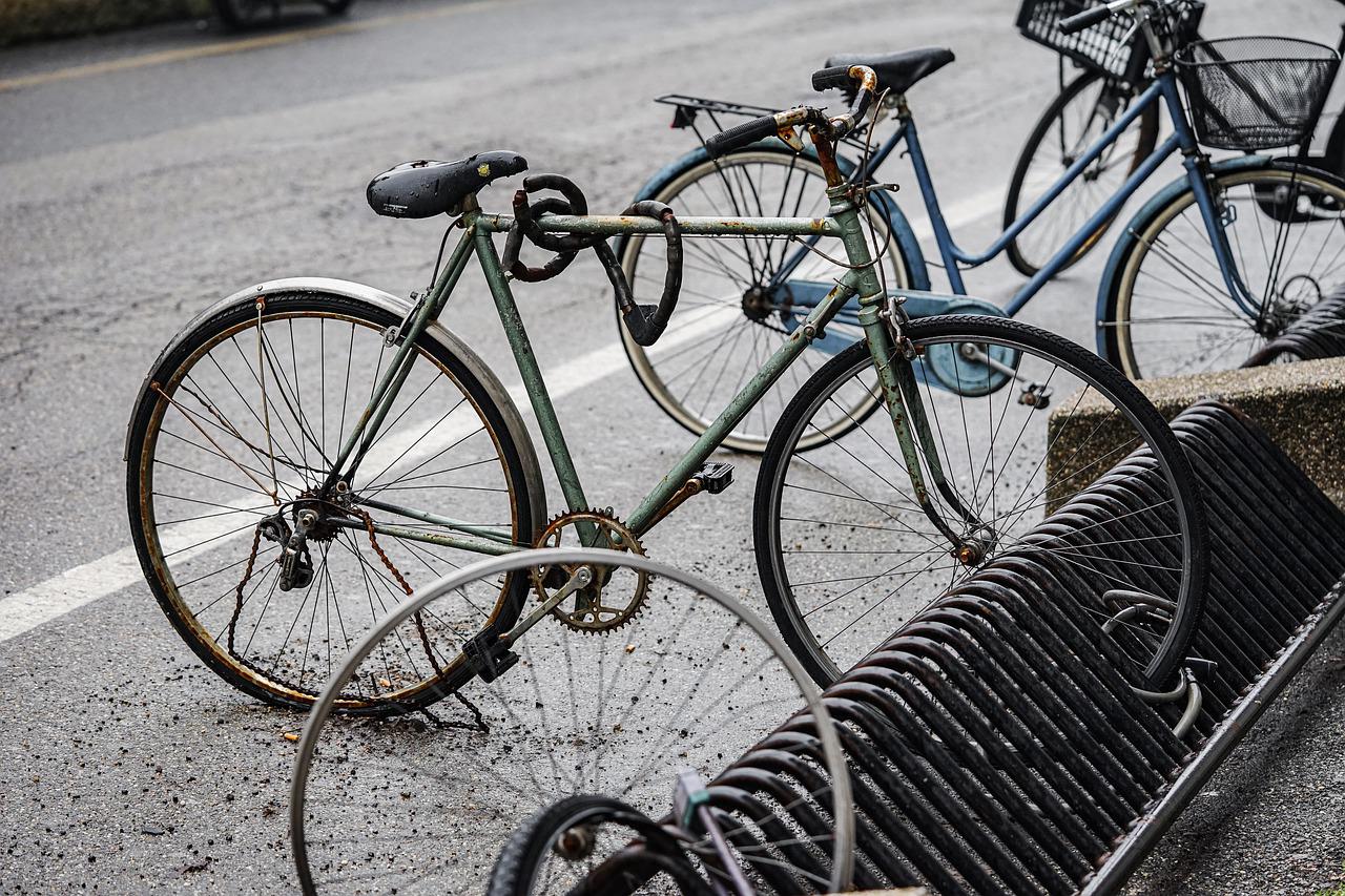 Copertina per Abbandonate in strada, le bici ritrovate donate agli studenti di Gorizia