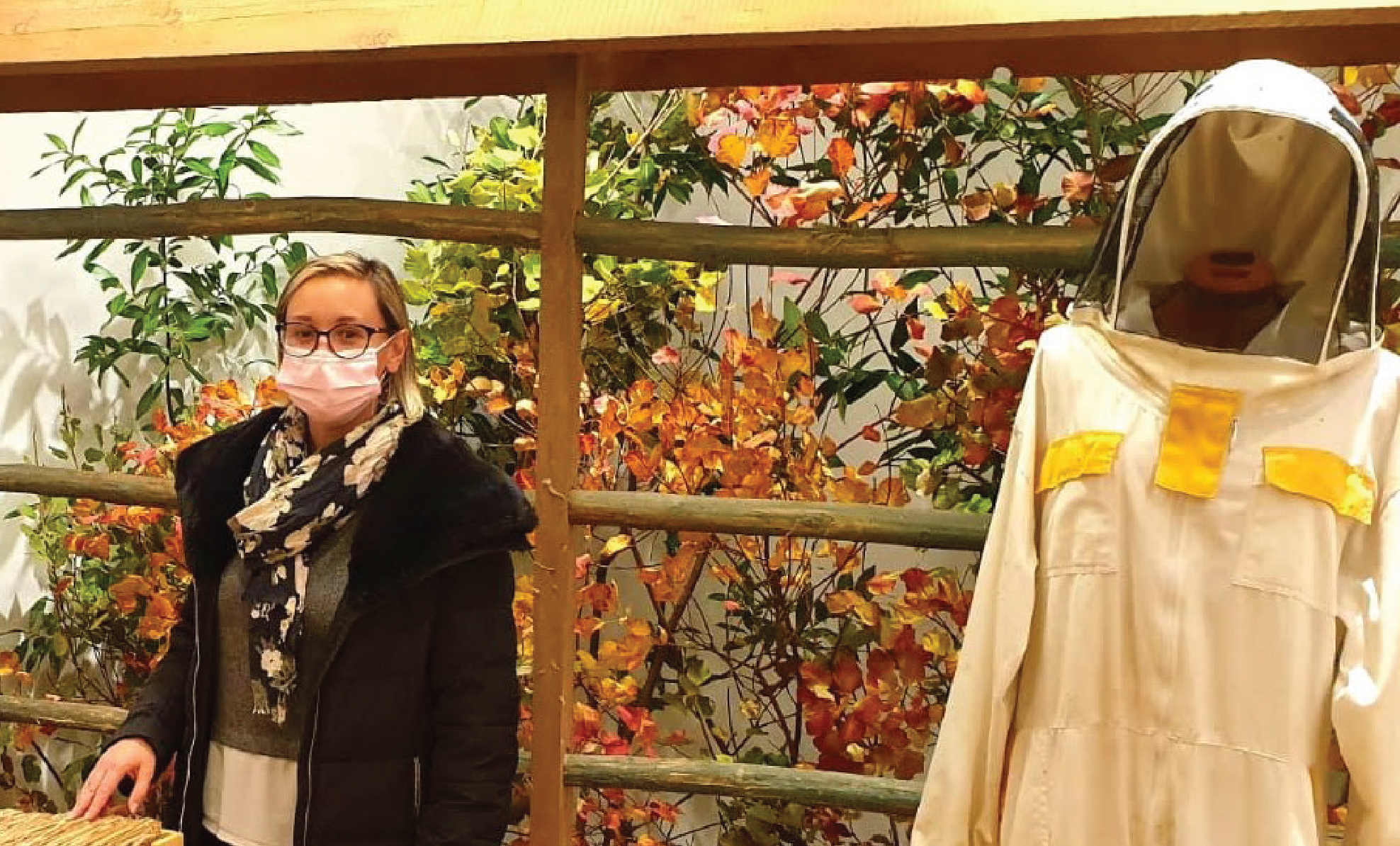 Immagine per Gorizia protegge le api, il percorso per scoprire la natura
