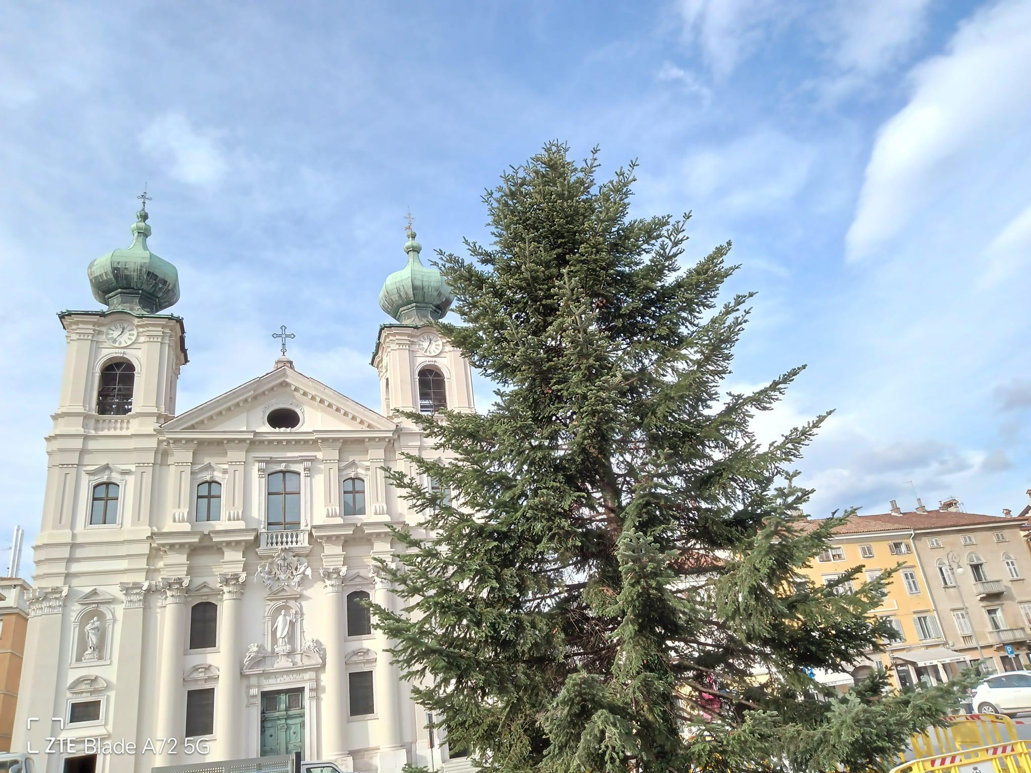 Immagine per Inizia il Dicembre goriziano, tutti gli eventi: oggi si accende l'albero di Natale