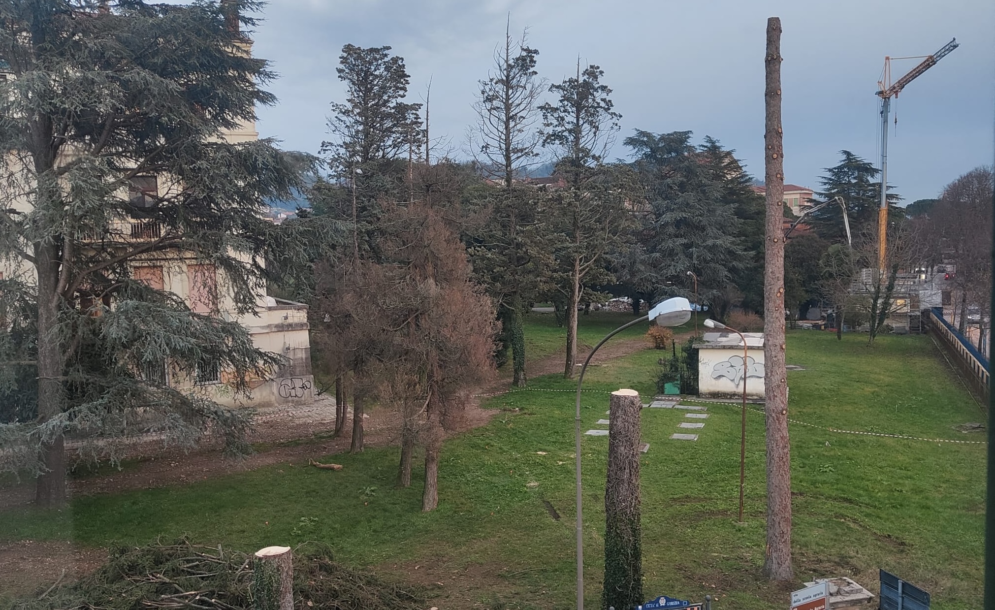 Immagine per Alberi tagliati nel parco dell'ex Sanatorio a Gorizia, attacco di Legambiente 