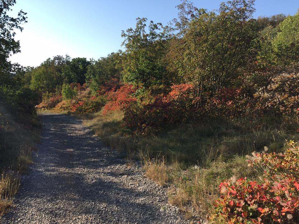 Immagine per Gli antichi nomi del Carso goriziano, la guida per riscoprire strade e sentieri 