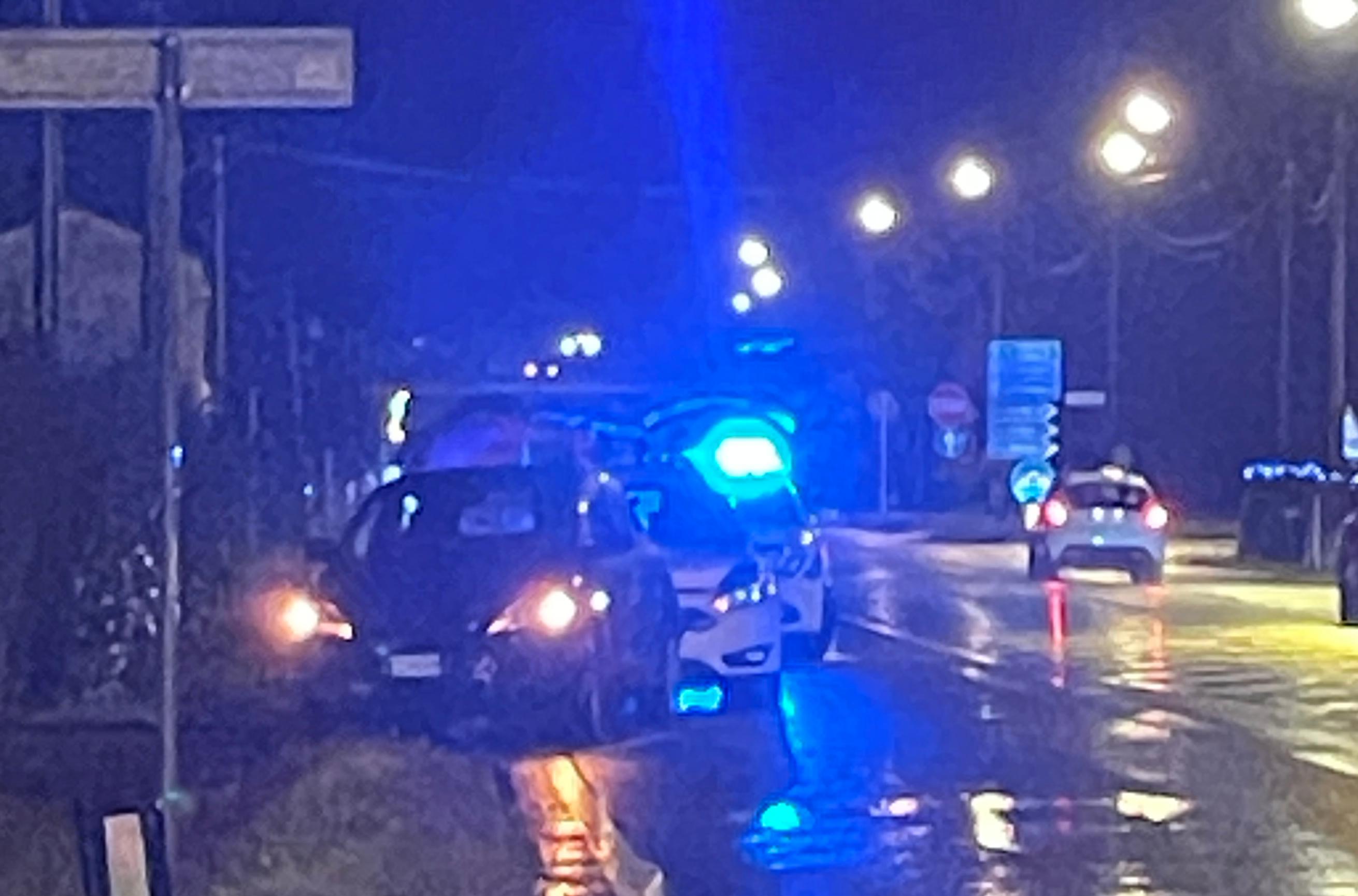 Immagine per Gorizia, tamponamento a catena e cinghiale nel fosso sulla Mainizza