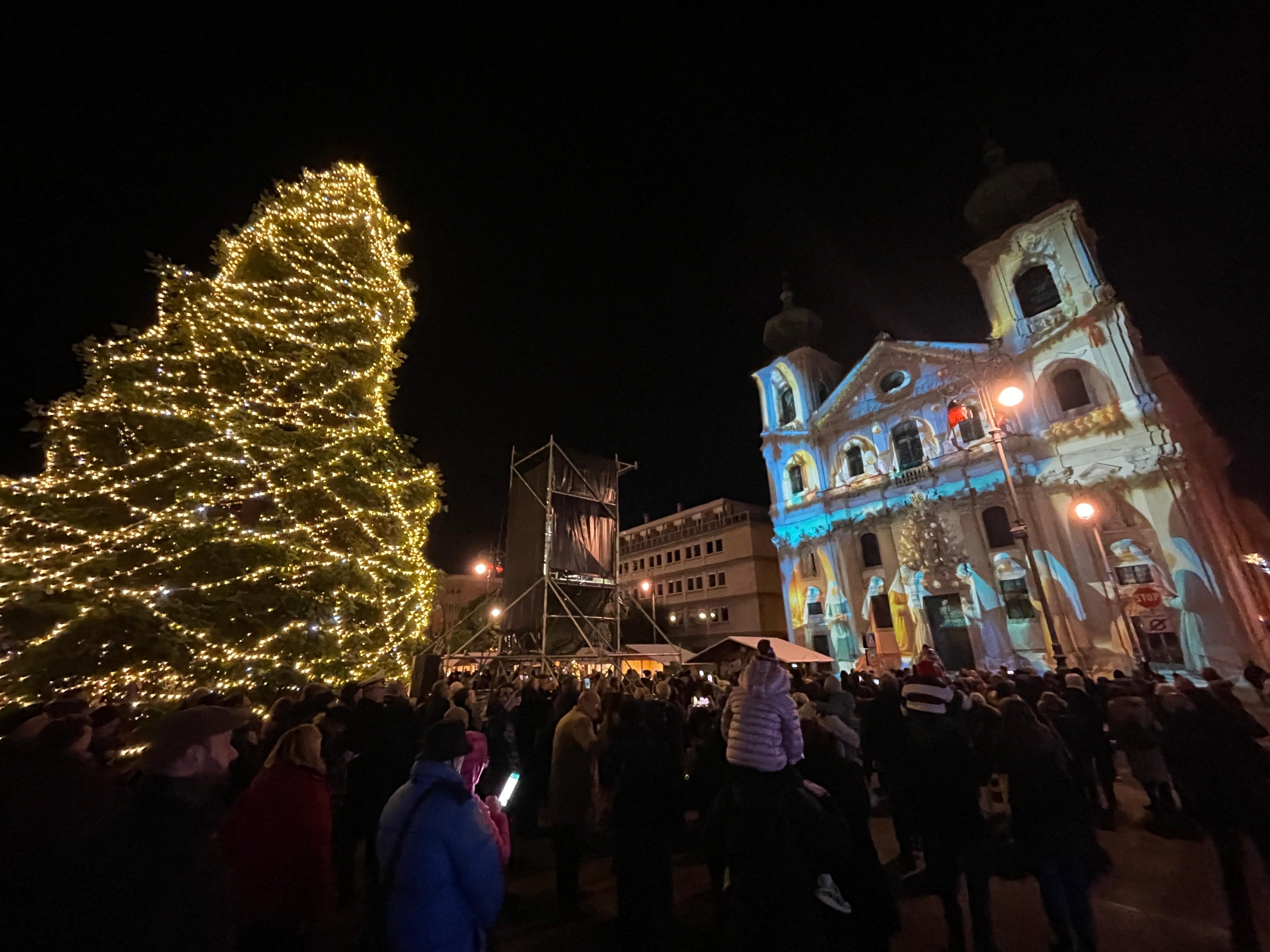 Copertina per Gorizia si illumina con albero e videoshow, piazza Vittoria si colora di Natale