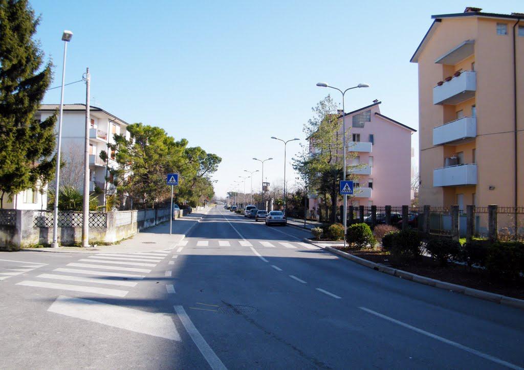 Copertina per Nuovo centro intermodale a Cervignano, «zona già sacrificata»