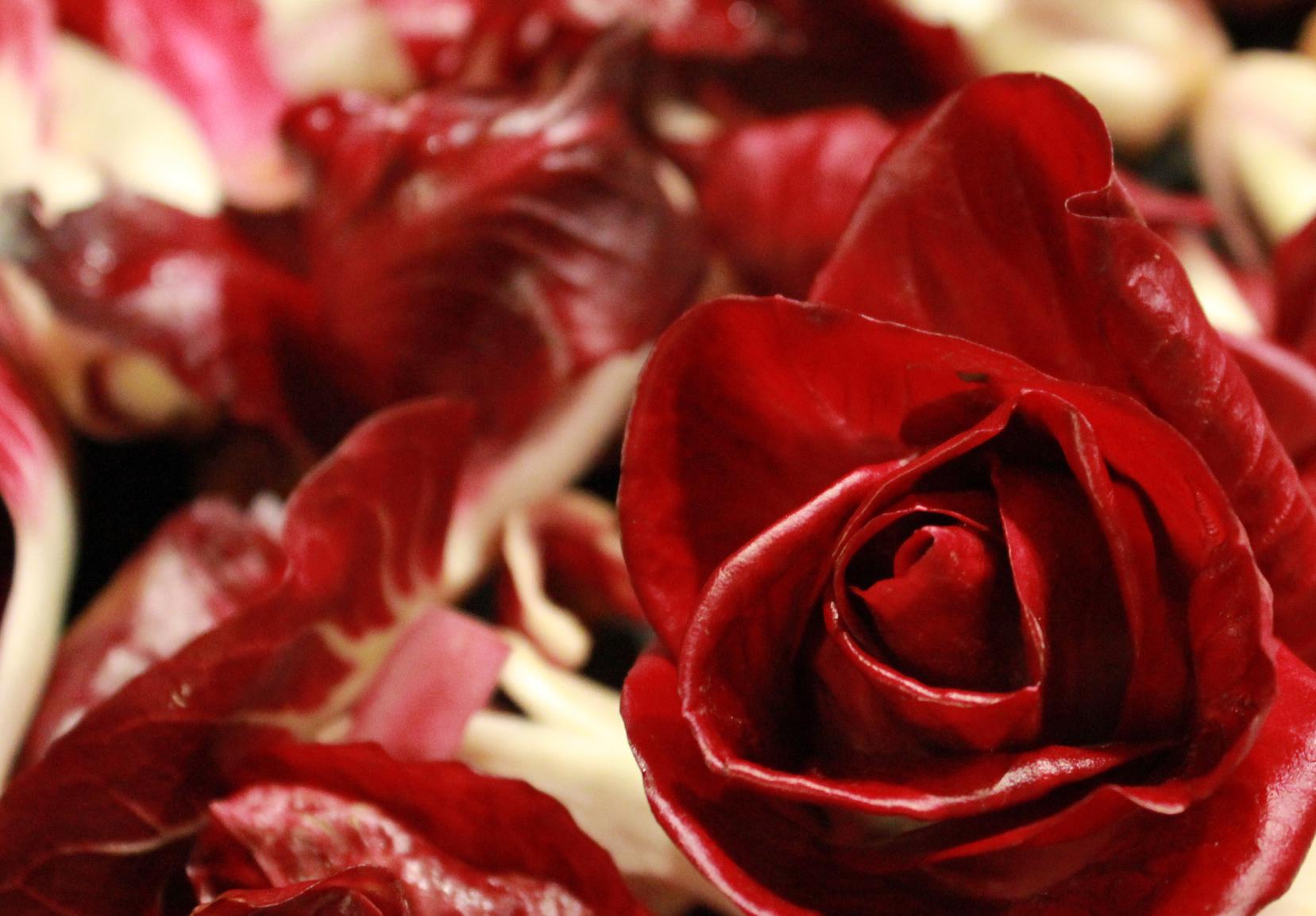 Immagine per «Rosa di Gorizia nei piatti dei grandi chef», nuove idee per GO2025