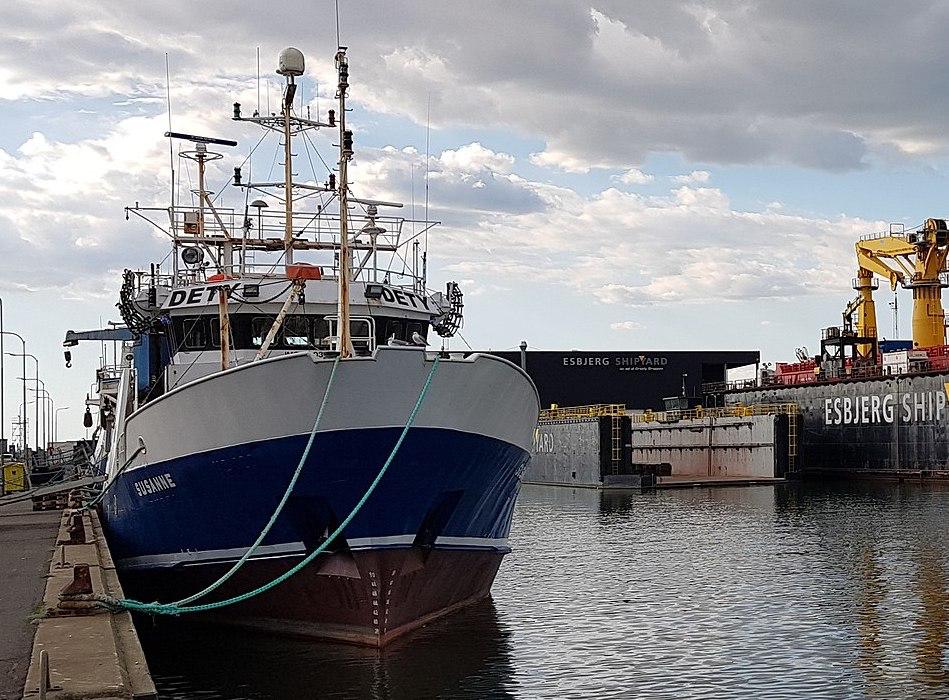 Immagine per «No transito di armi in porto», rientra l'agitazione dei lavoratori a Monfalcone