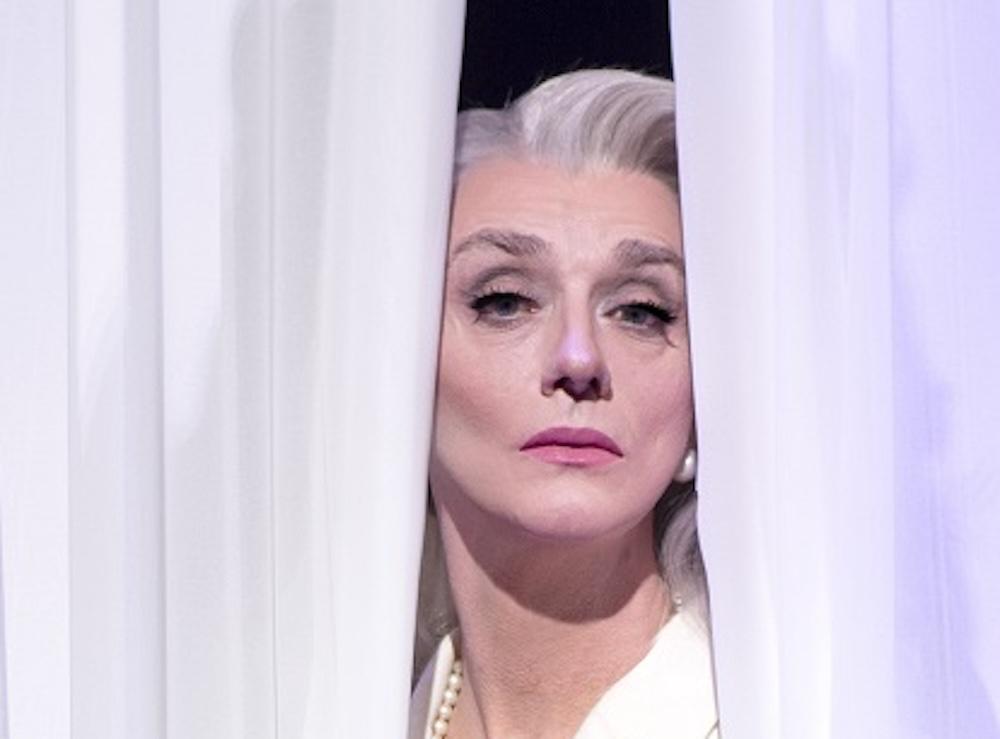 Copertina per La dea Venere che vive a Parigi, Drusilla Foer sul palco del Verdi di Gorizia
