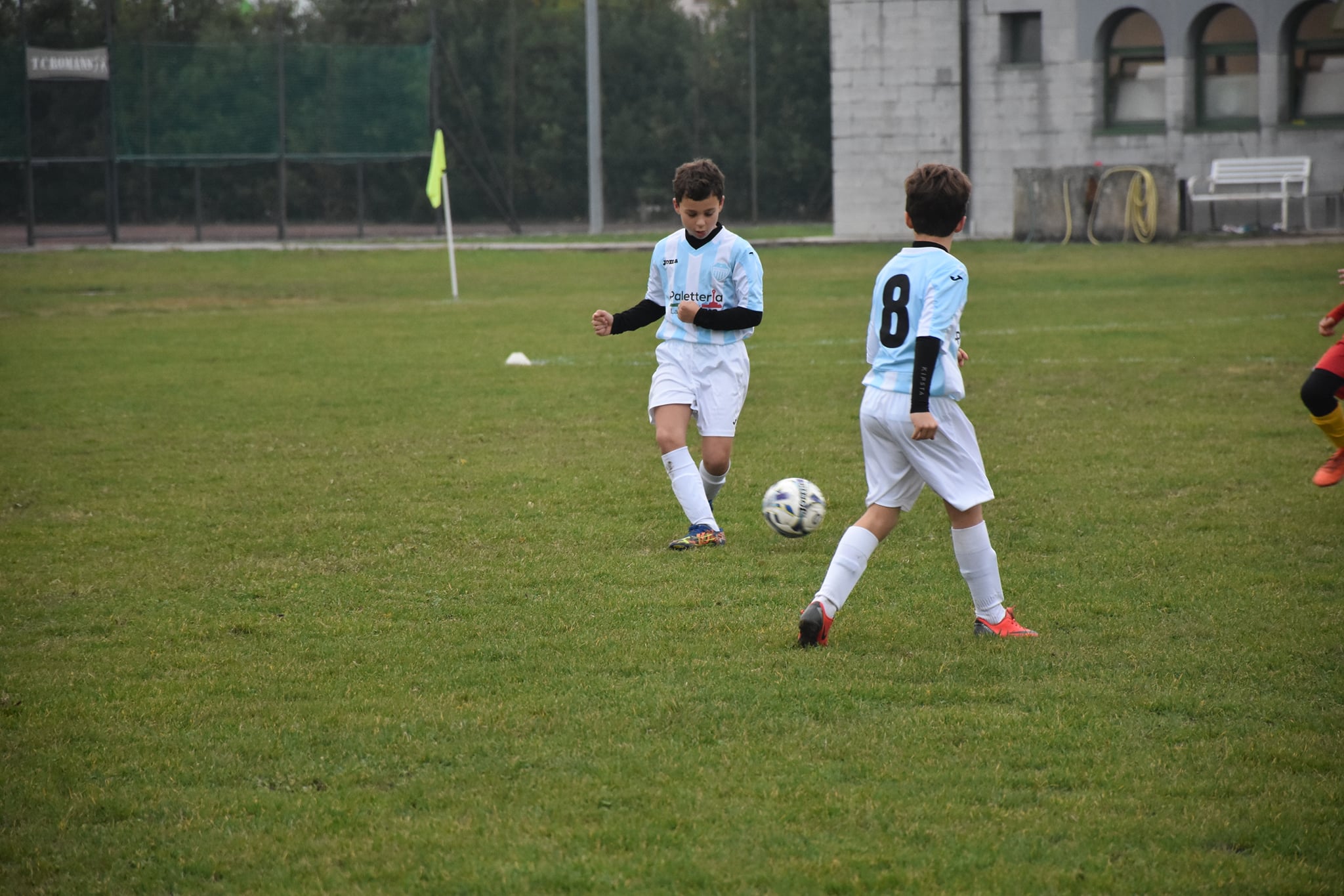 Immagine per Calcio, settore giovanile della Pro Gorizia ai primi posti in regione