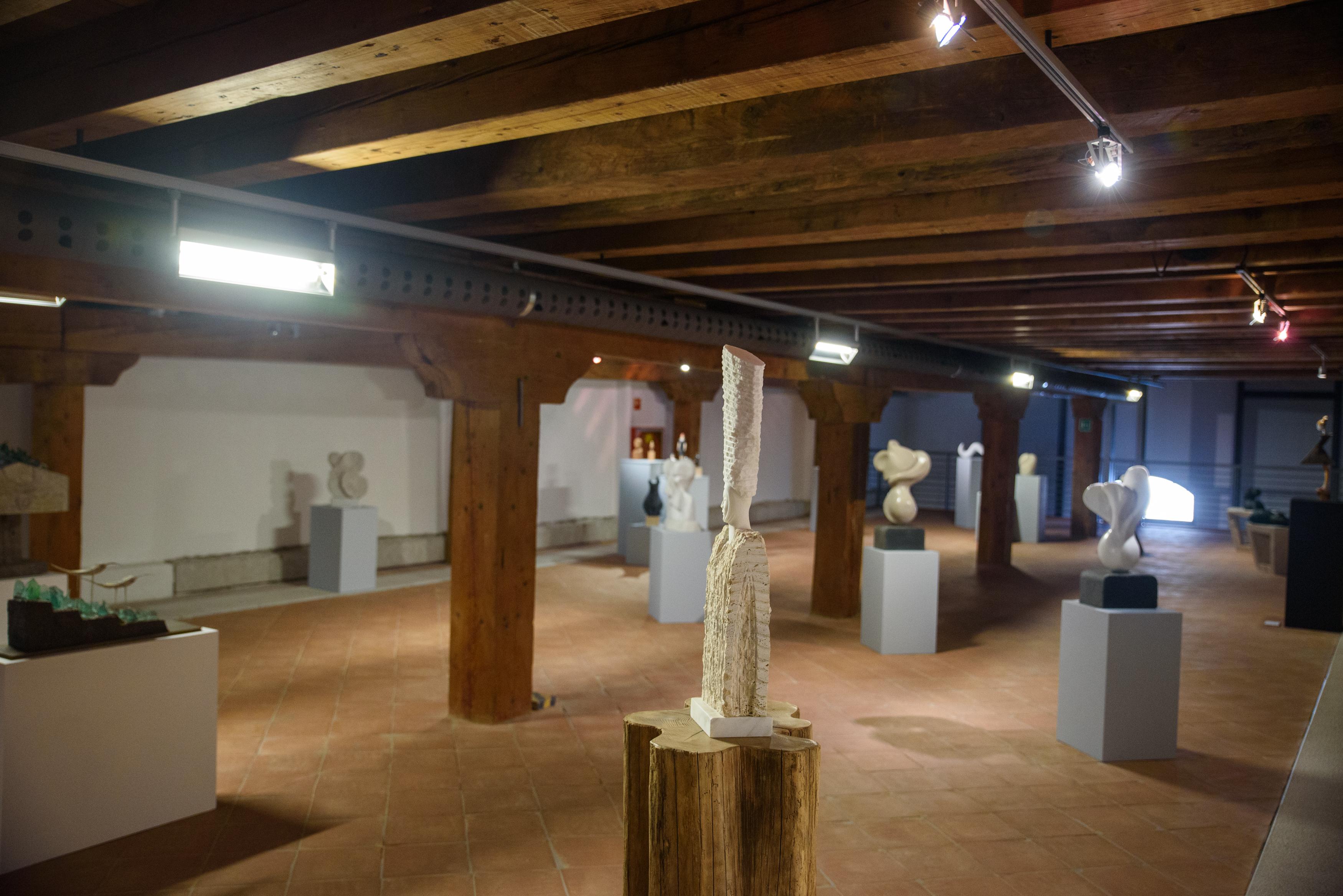 Immagine per Laboratori e tour guidati alla mostra Silva Lapidea, gli eventi a Gorizia