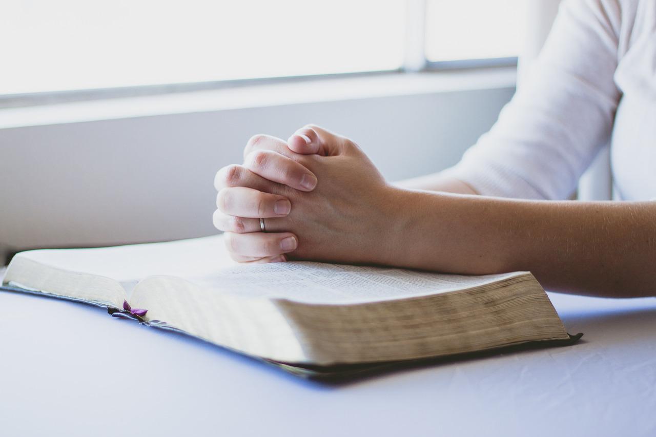 Copertina per Gorizia, l’importanza del dialogo tra fedi negli incontri dell'Azione cattolica
