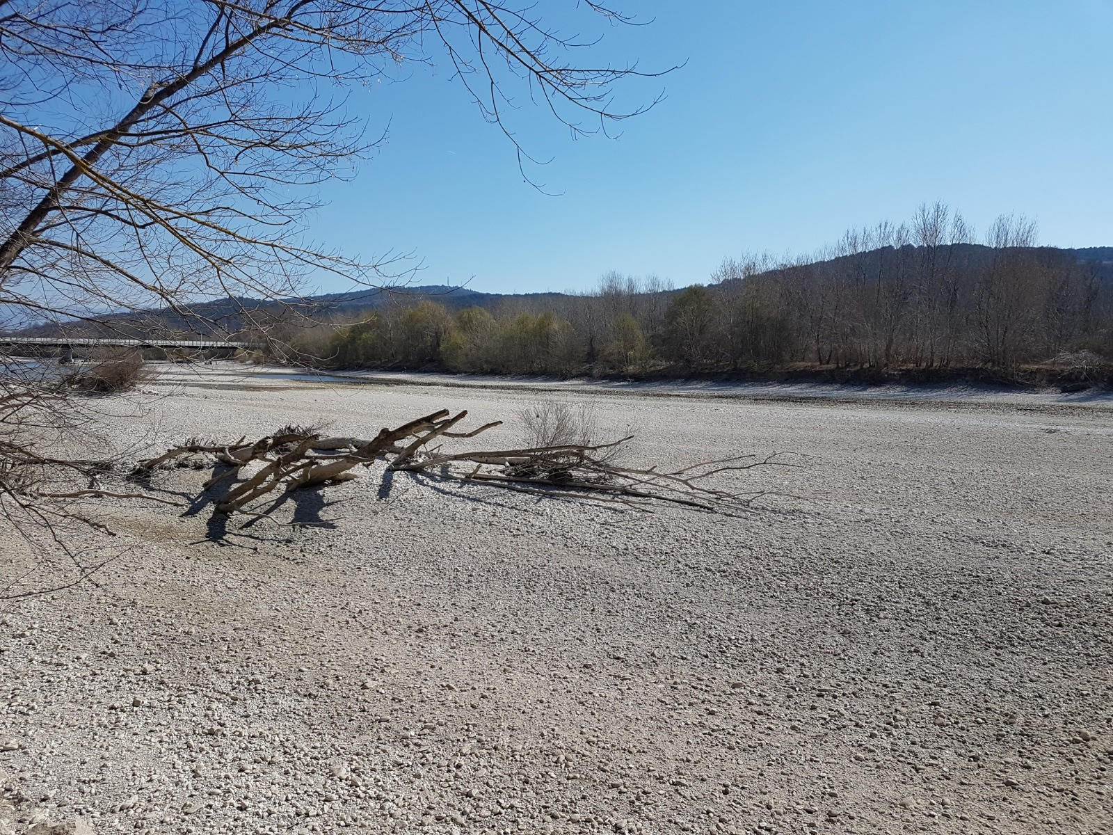 Immagine per Moria di pesci nell'Isonzo, presentato l'esposto in Procura a Gorizia