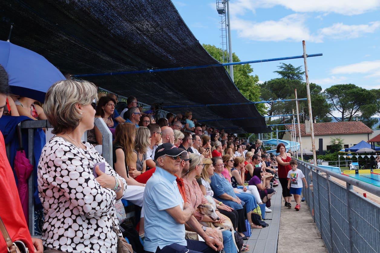 Copertina per Gorizia, show dei talenti del nuoto: Trofeo dell'Est fa il pieno di pubblico