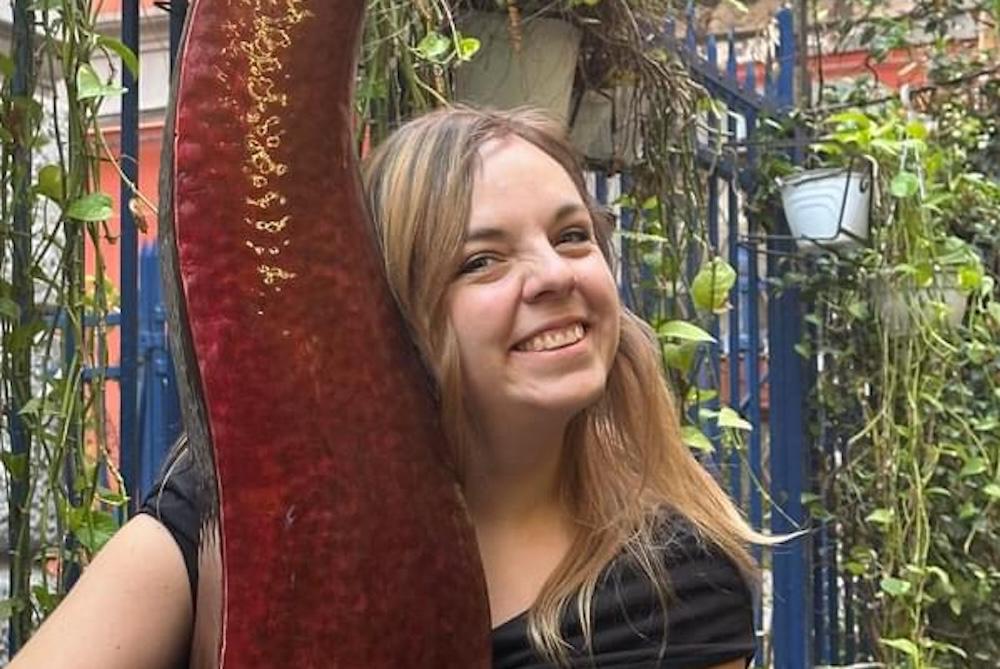 Copertina per Malore fatale sul lavoro a Gorizia, muore a 35 anni l'educatrice Anna Tessarin