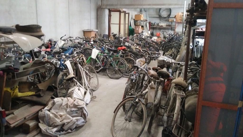 Biciclette abbandonate in magazzino a Cormons, ragazzi in campo per dargli  nuova vita • Il Goriziano