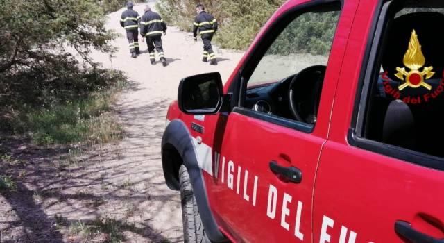 Immagine per Scompare nel nulla a Turriaco, paura per una donna nel parco dell’Isonzo