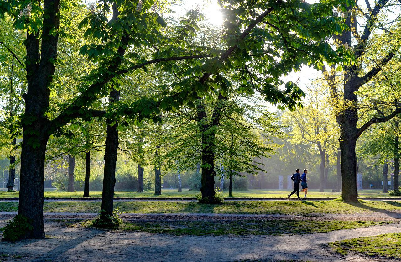 Copertina per Gorizia spinge sullo sport all'aperto, fitness nei parchi contro le cattive abitudini