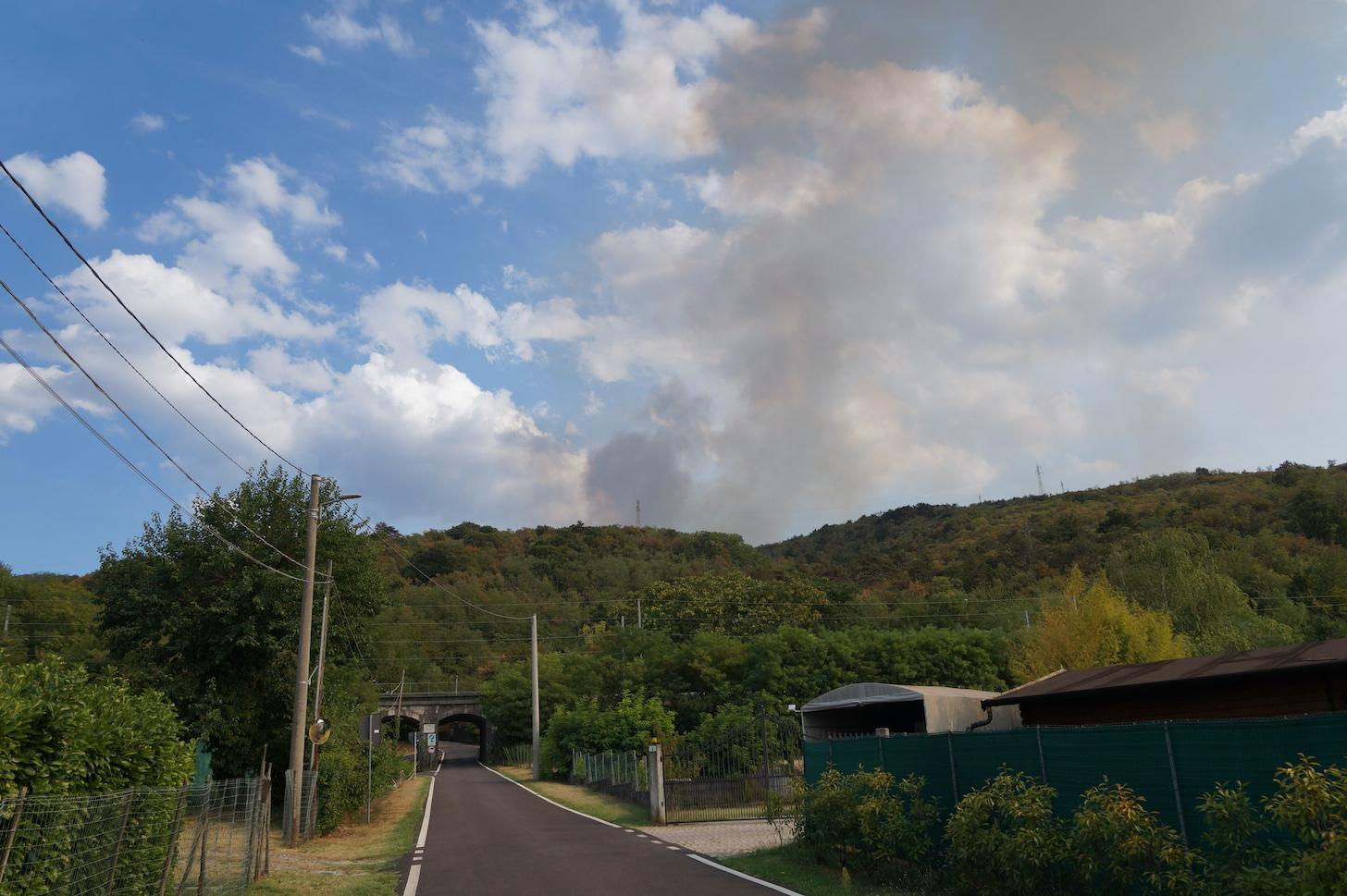 Immagine per Carso ancora in fiamme, il Fai lancia la corsa per difenderlo