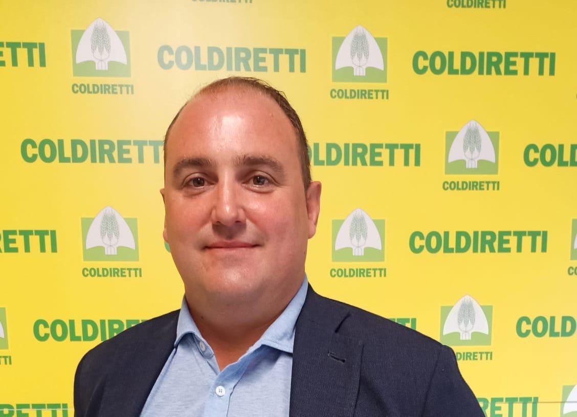 Copertina per Figelj fa bis in Coldiretti, l'imprenditore di Gorizia nuovo presidente Fvg