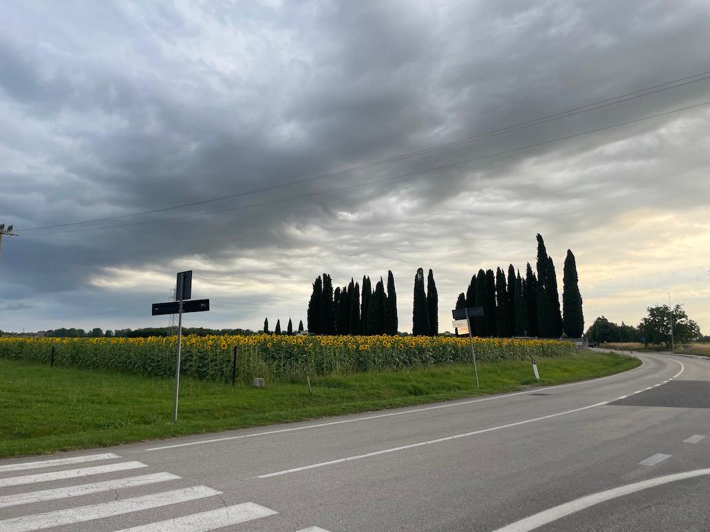 Immagine per Campo fotovoltaico nei campi a Chiopris, comitato in protesta