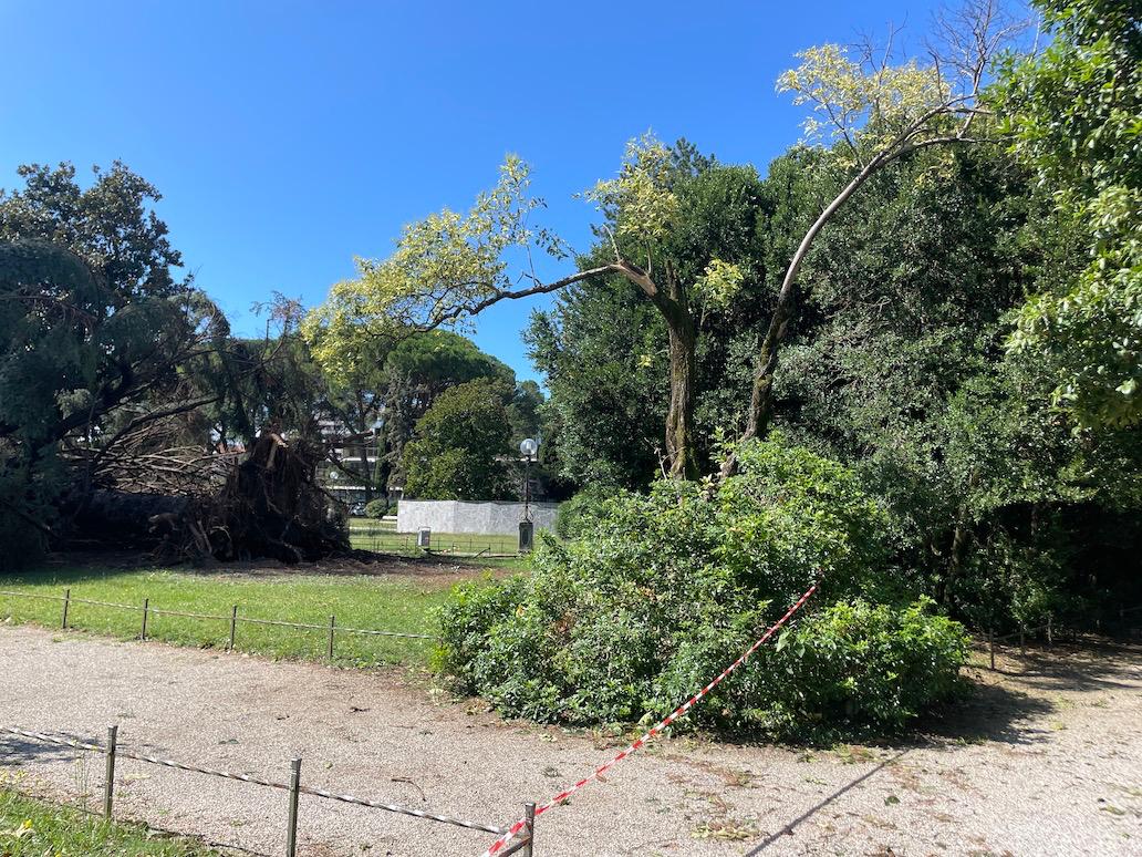 Immagine per Gorizia, Legambiente: «Ora piano su cambiamento climatico»