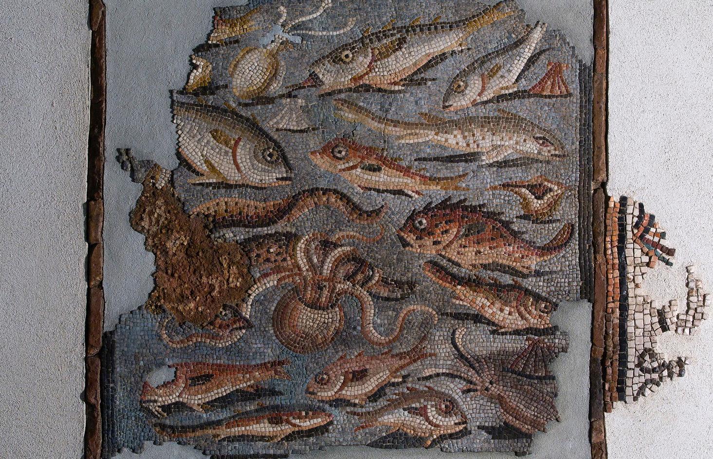Immagine per L'archeologia che unisce Aquileia e Grado, incontri al Museo nazionale