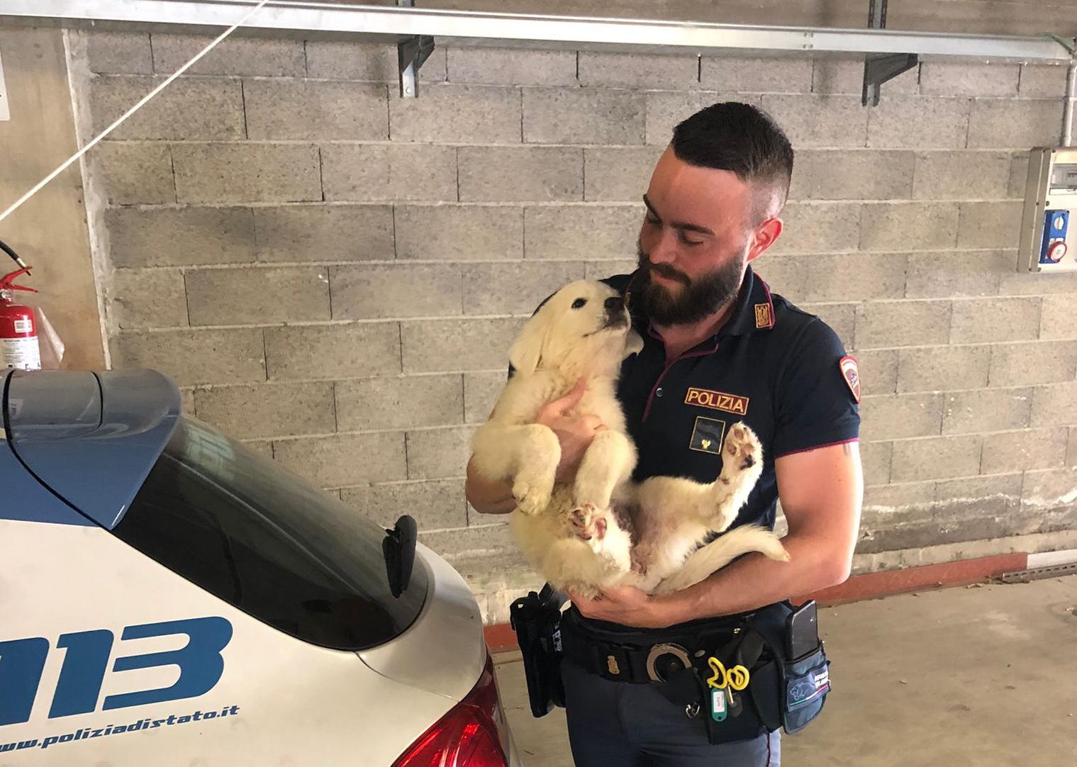 Copertina per Animali abbandonati d'estate, ecco i consigli della Polizia di Stato per chi parte