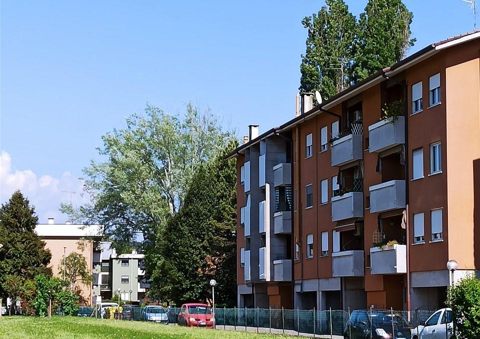 Immagine per La mappa delle aree verdi di Ater, censiti 576 alberi in otto zone di Gorizia