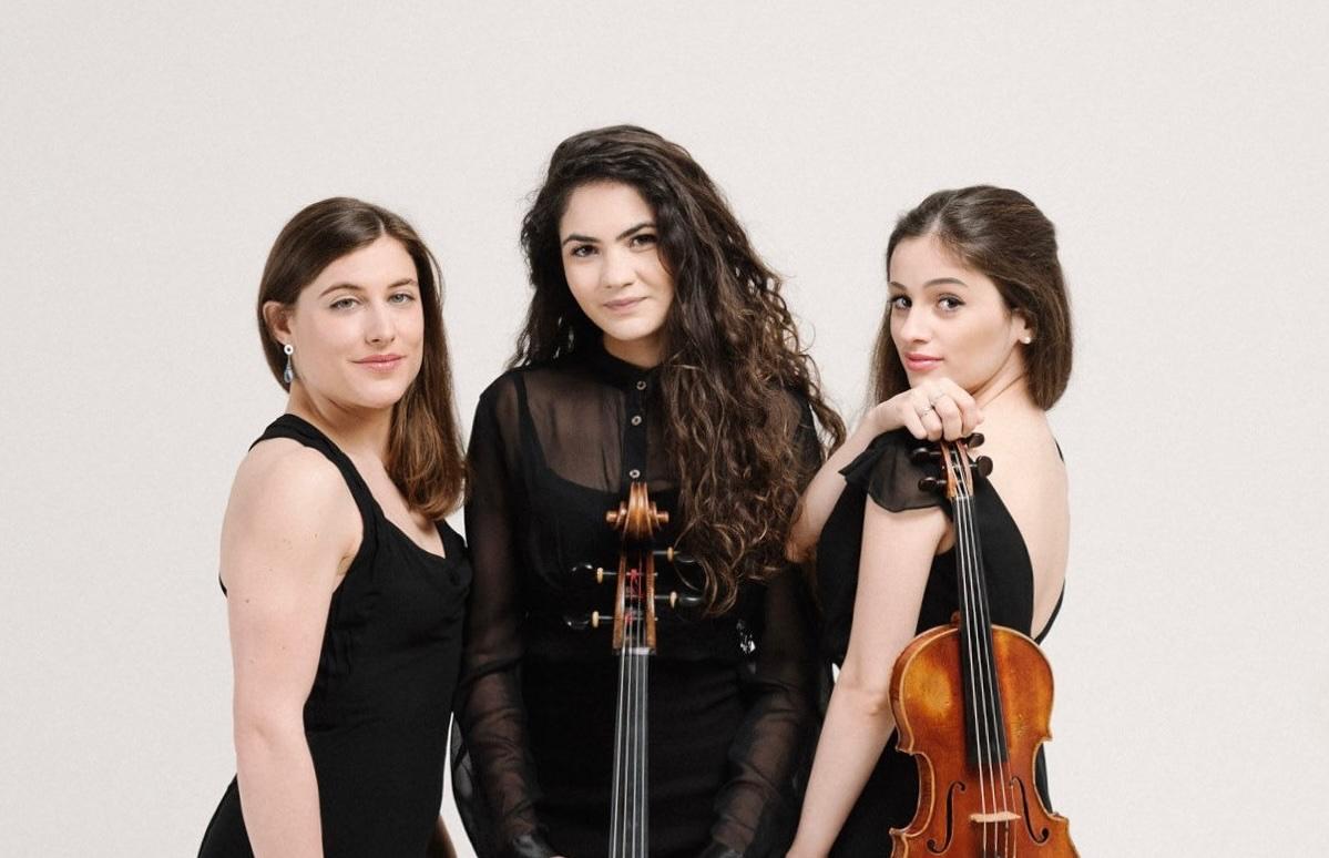 Immagine per Nei suoni dei luoghi porta Trio Hermes a Villesse, musica a Palazzo Ghersiach