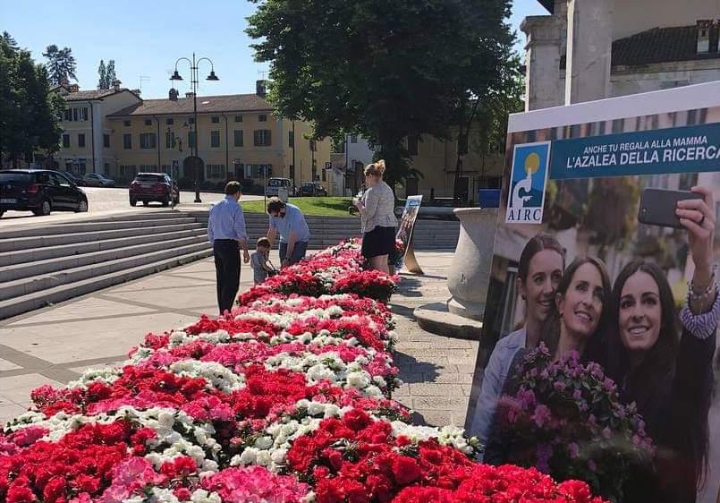 Copertina per La festa della mamma guarda alla salute, tornano le Azalee di Airc a Gorizia