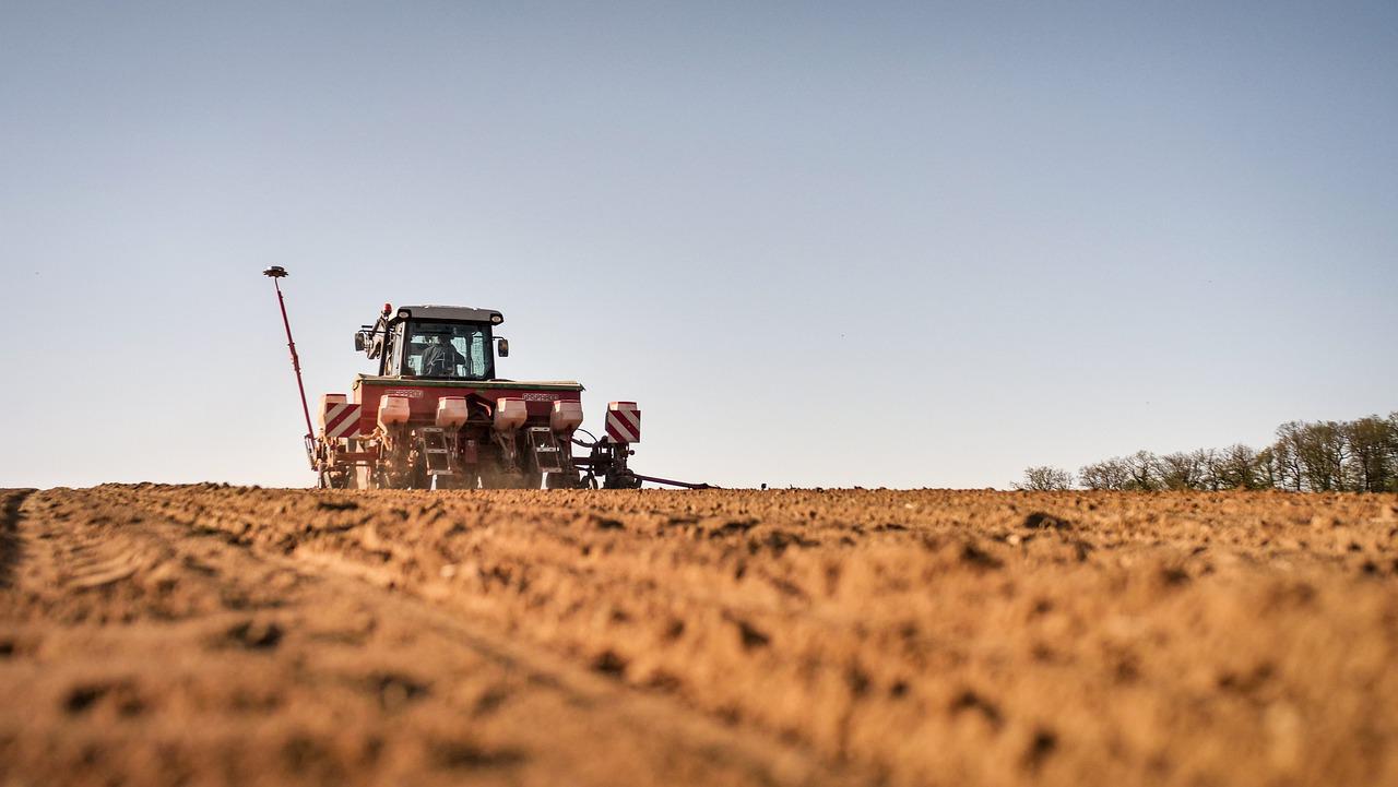 Copertina per Fasiolo studia il Tavolo verde, idee e proposte per l'agricoltura a Gorizia