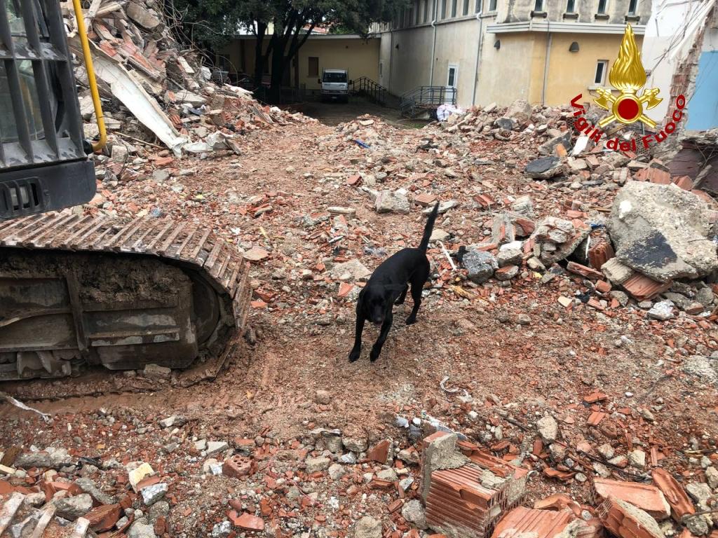 Copertina per Cani tra le macerie, campo di addestramento all'ex Sauro di Monfalcone