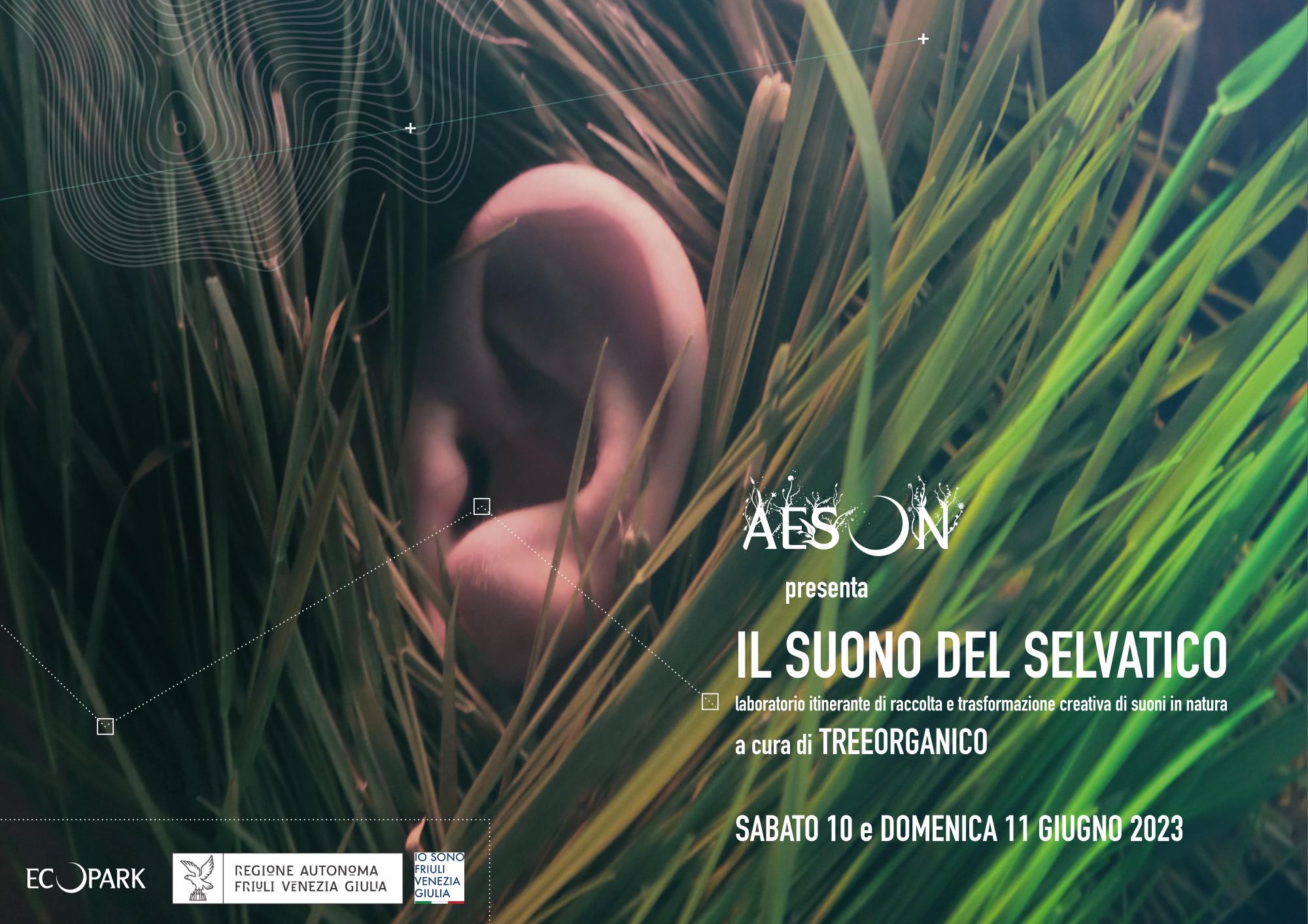 Immagine per Il suono del selvatico, due giorni di workshop nella natura a Fiumicello