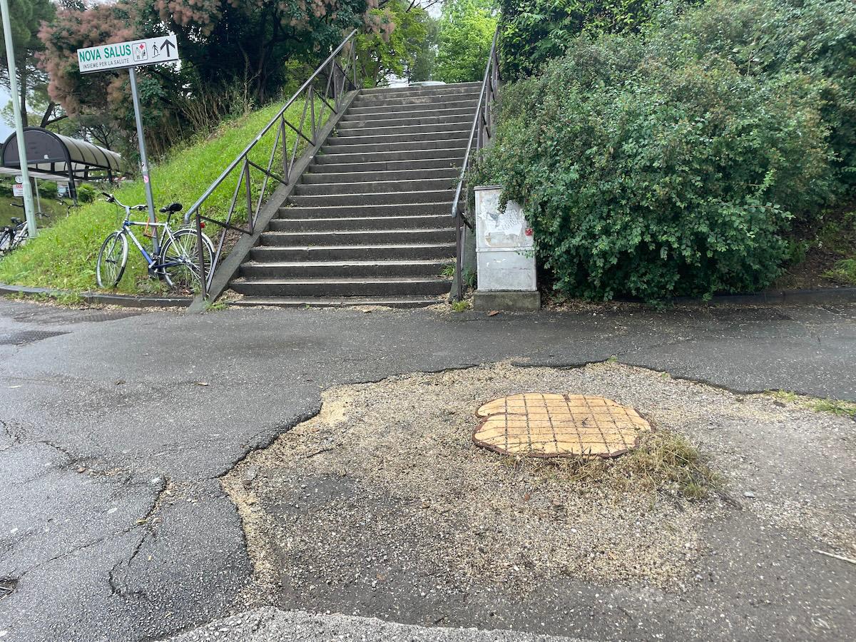 Immagine per Alberi tagliati nel piazzale della stazione a Gorizia, la protesta di Legambiente