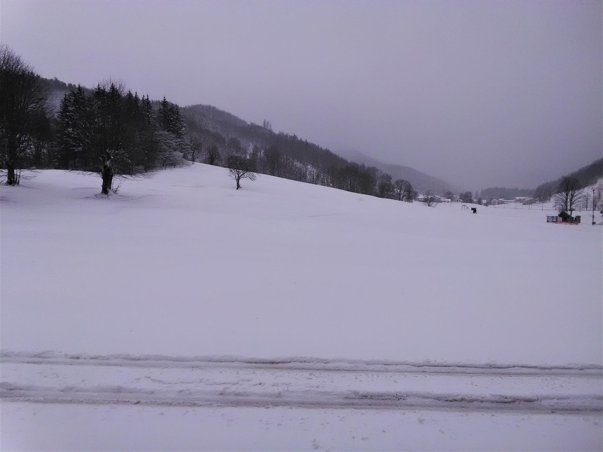 Copertina per Un manto bianco su Lokve di Nova Gorica, la neve bacia il Goriziano sloveno
