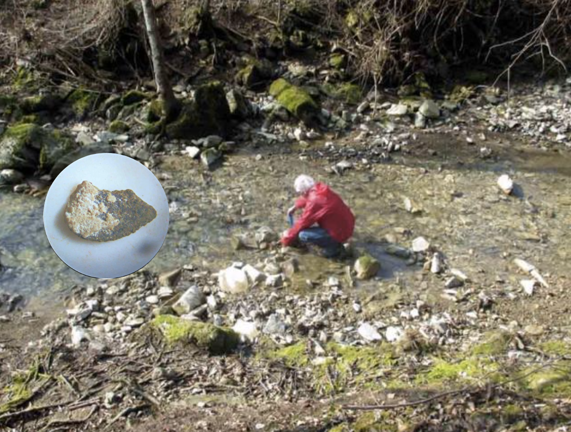 Immagine per Un minerale raro affiora vicino Gorizia, la scoperta che racconta nuovi aspetti del territorio