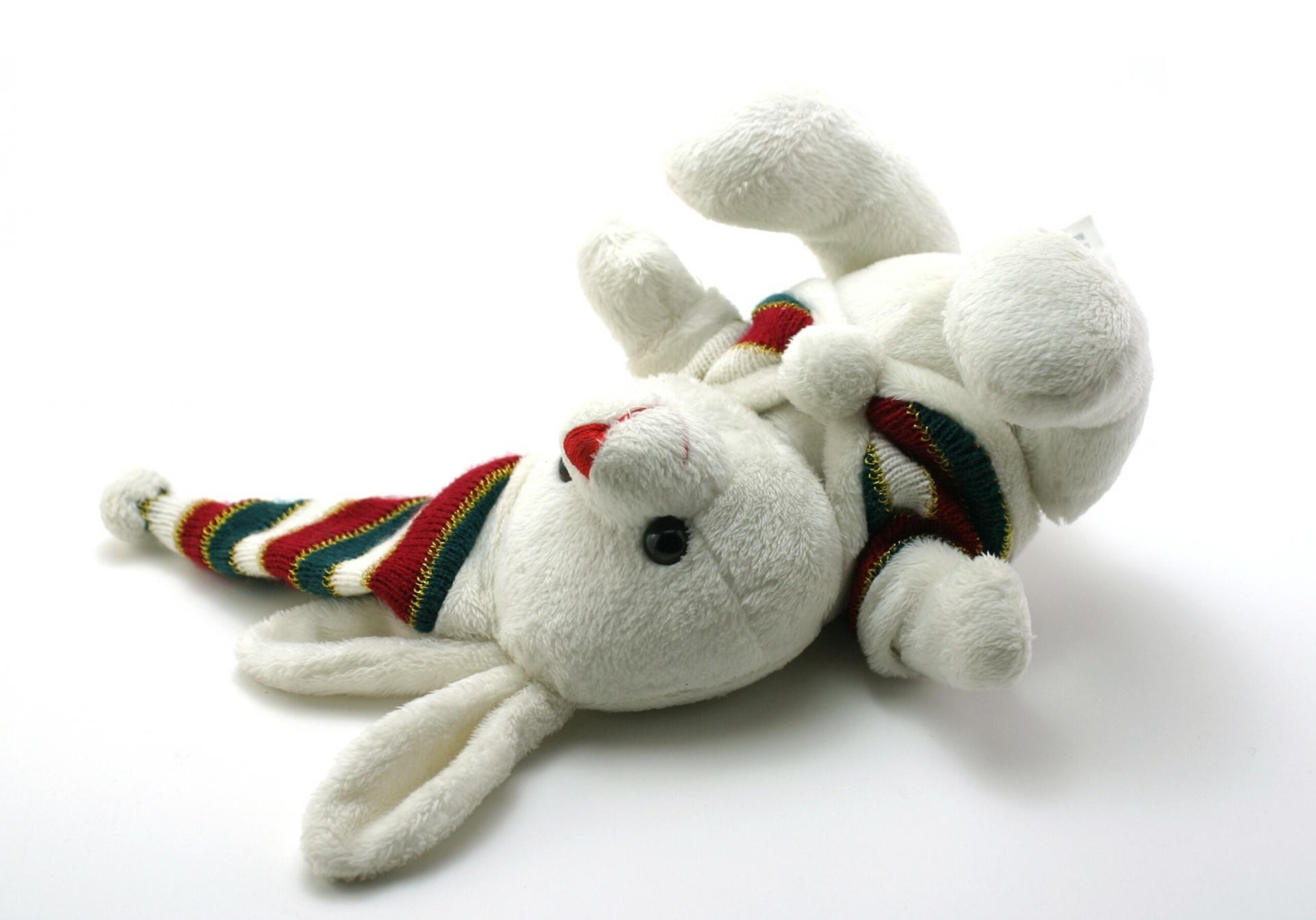 Immagine per Nova Gorica, tre spettacoli improvvisati con White Rabbit, Red Rabbit