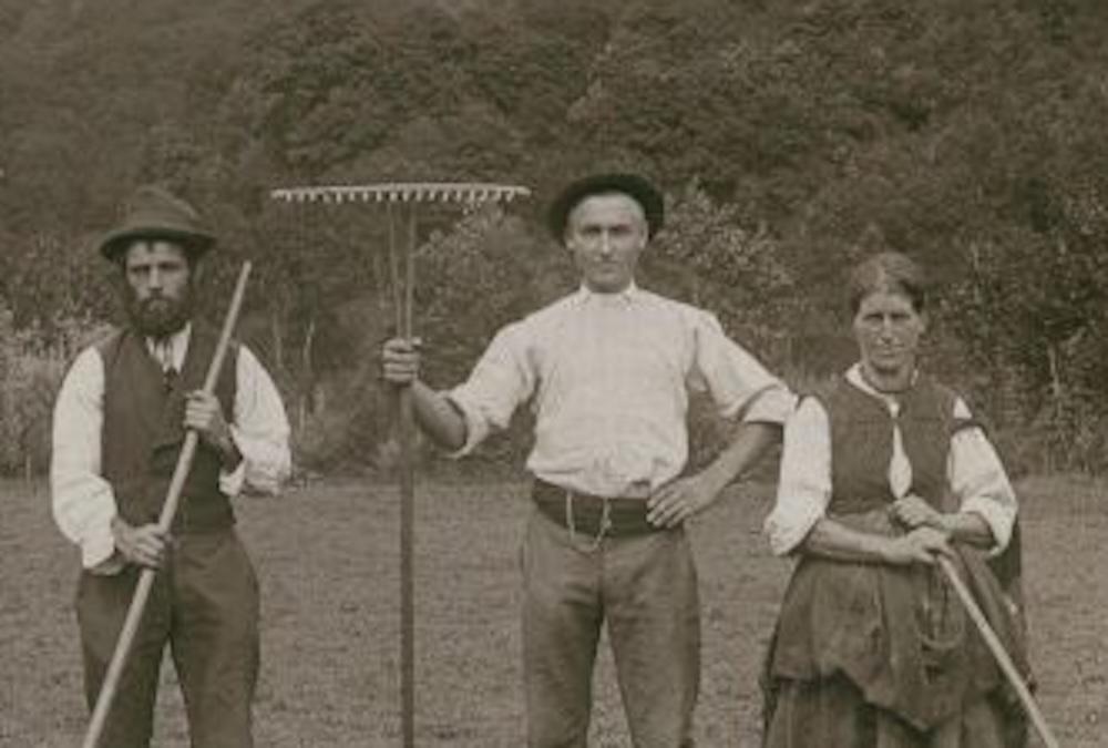 Immagine per Le parole slovene perdute del mondo contadino, un dizionario a Kromberk