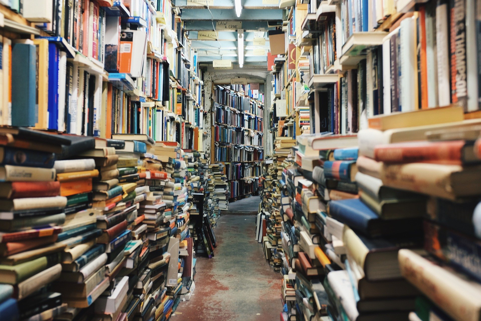 La Gorizia dei libri che è riuscità a sopravvivere al lockdown sfidando Amazon