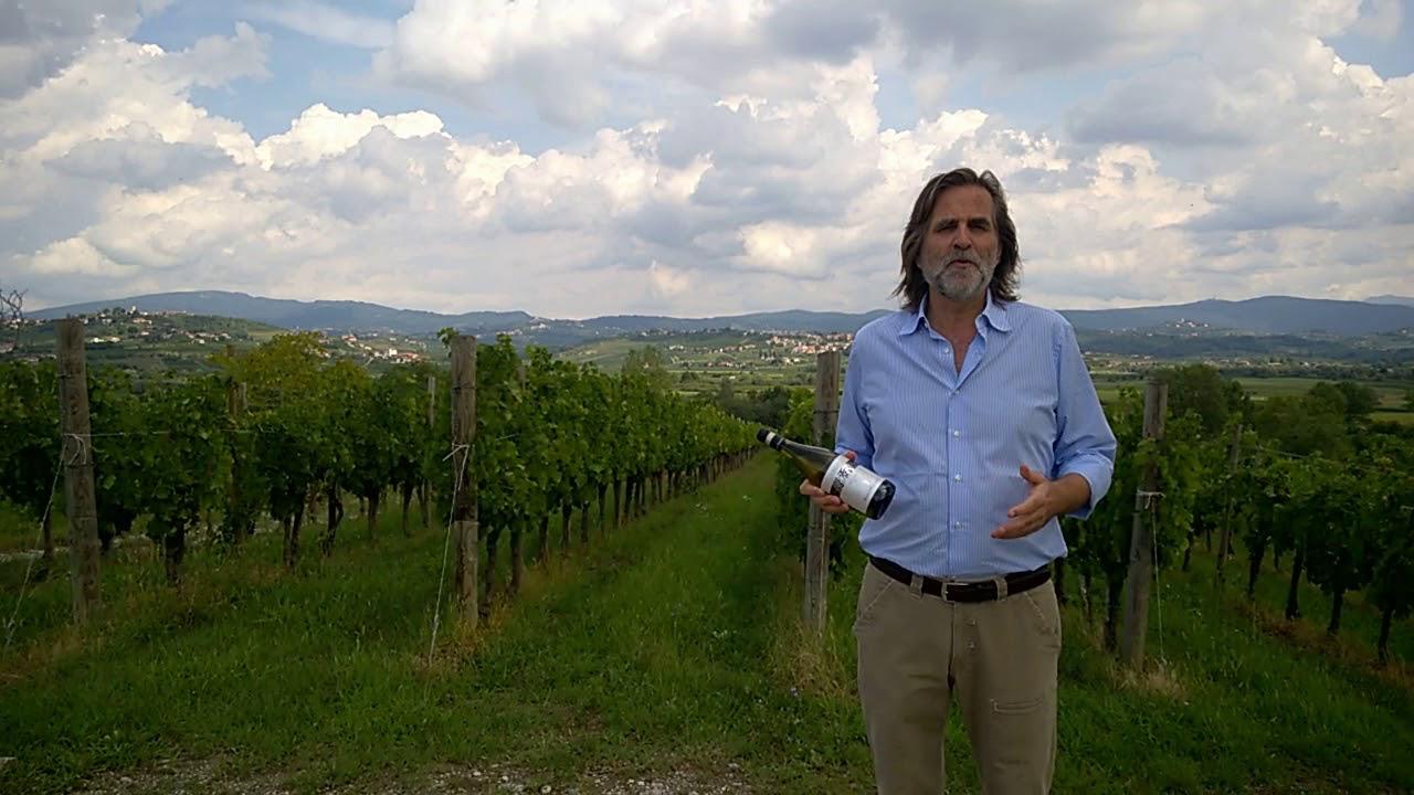 Addio a Roberto Felluga, erede della storica dinastia del vino del Collio