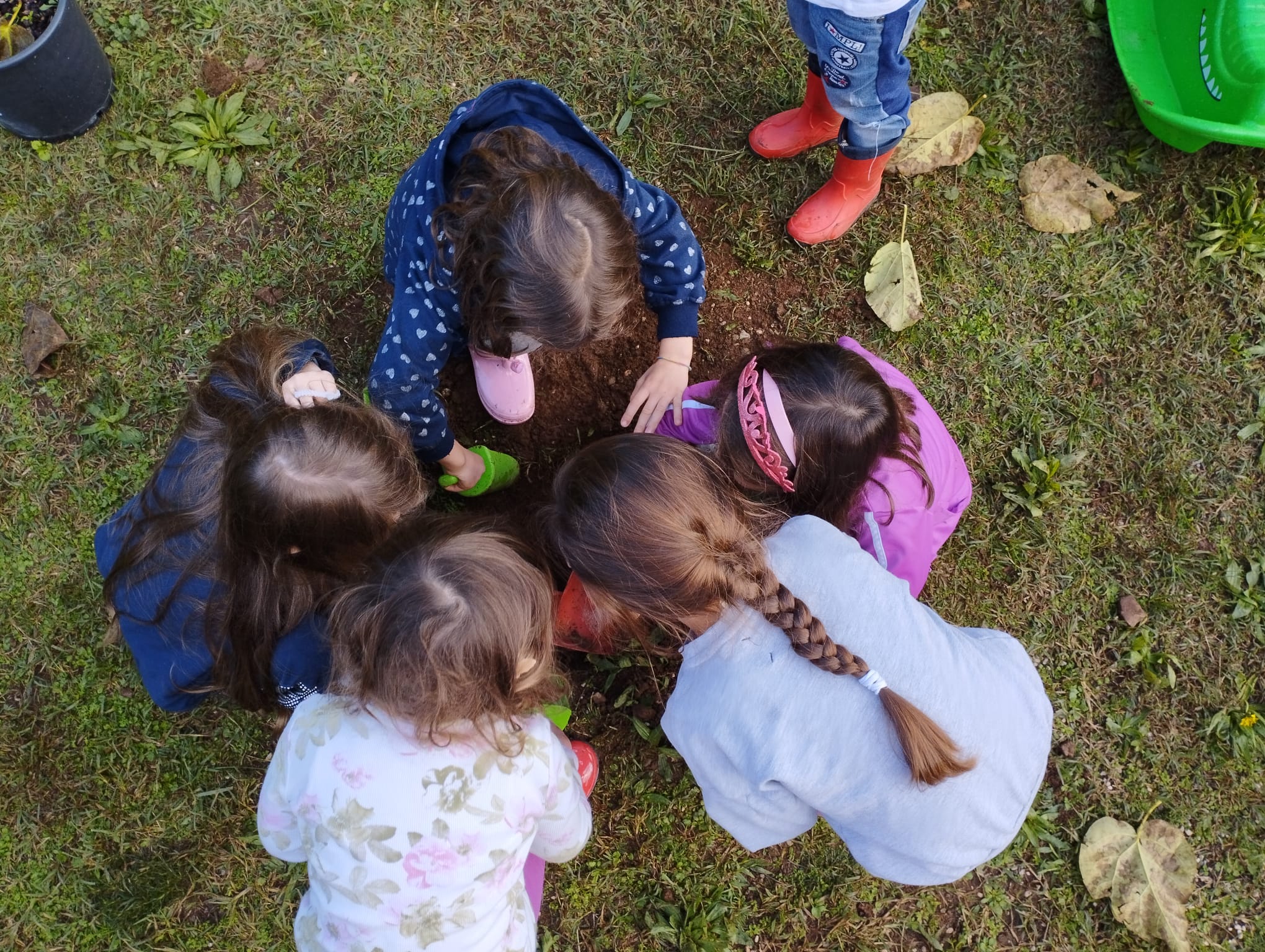 Immagine per Alberi a scuola e rifiuti in parco Basaglia, bambini aiutano l'ambiente