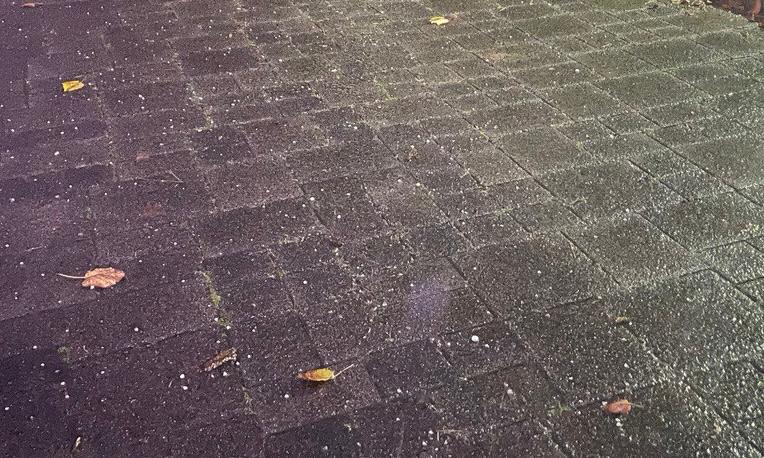 Immagine per Grandinata su Gorizia, notte di maltempo su tutto il Friuli