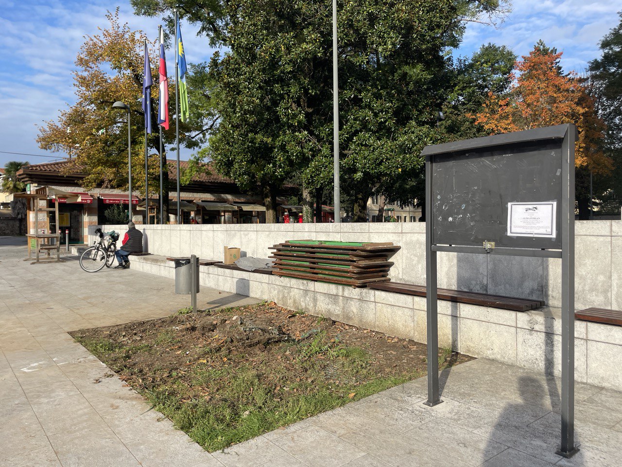 Immagine per Muore travolta da un albero in piazza a Šempeter, comunità sotto shock